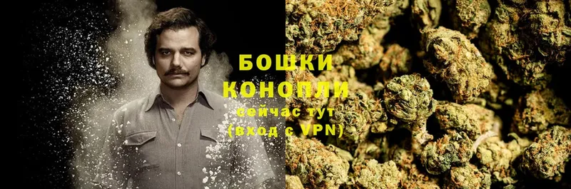 Конопля LSD WEED  наркошоп  Краснотурьинск 